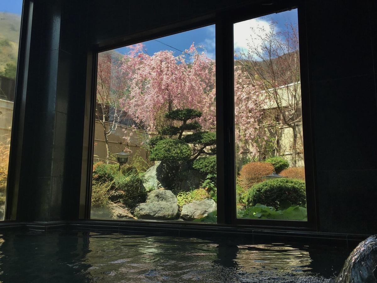 Shoji Mount Hotel Фуджикавагучико Екстериор снимка